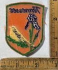 Vintage Tennessee Iron On Patch Voyager Travel Souvenir State Bird Mockingbird