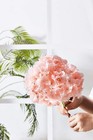 10pcs Blush Hydrangea Heads W stems For Wedding Decor  Diy Bouquets