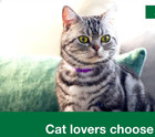 New Date For Flea Spot Treatment For Cats  Over 9 Lbs  6 Doses  6-mos  Supply 