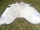 Make Offer    Large White Cowhide Rug Natural Hair On Cow Hide Skin Light Solid