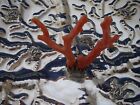 Fine Urart Signed Turkish Sterling Centerpiece Bowl-sea Life W coral Sprigs