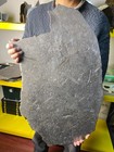 5970grams Aletai Iron Meteorite Slice