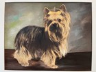 Yorkshire Terrier Dog Portrait Original Painting Unsigned 11x14   16x20 W Mat