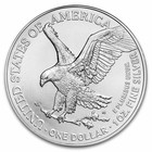 2025- p  1 Oz American Silver Eagle Coin Bu  eagle Privy 