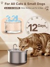 Stainless Steel Cat Water Fountain 3 2l Pet Drinking Fountain Dispenser For Cats