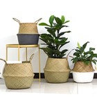 Woven Wicker Seagrass Belly Plant Basket With Plastic Liner For Indoor Outdoor