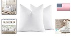 24x24 Euro Pillow Inserts     Set Of 2 Feather And Down Filled For Home