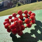 Vintage Red Lucite Bead Wrap Bracelet Mid Century Memory Wire Coiled Cuff Bangle