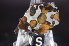 Sericho Pallasite Meteorite  Etched Full Slice Weight 5 Grams 1 5 Inch Usa