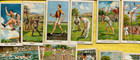 1925 A  Boguslavsky Ltd  Turf Sports Records 1st Series Tobacco Card Set