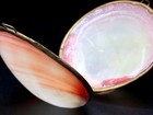 Italian Luxury Mother Of Pearl Trinket Box  Real Shell Brass Hinged One Of Kind