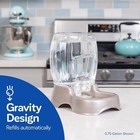 Pet Cat   Dog Water Dispenser Extra Small Water Bowl Kittens   Puppies Usa