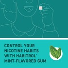 Habitrol Nicotine Gum - 2 Mg  Mint Flavor  80 Count 80 Count 