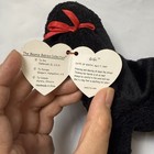 Ty Beanie Baby Gigi - Bnwt  dog Poodle 1997 