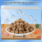 Freeze Dried Brine Shrimp Cubes -100  Pure High Protein Fish Food For Tropical 