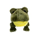 Animal Alley Toys R Us Hand Puppet Plush Frog Green Yellow