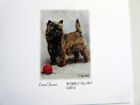 Cairn Terrier Dog Magnetic List Pads  Set Of 2  Walk  Feed Dogs - Gotta Doo List