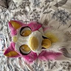 Low To Medium Quality Partial Fursuit Set With Head Paws Tail Wings And Extras 