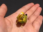 Kaiyodo Furuta Choco Q Pet Animal 4 Budgerigar Bird Figure A