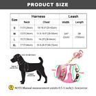 Personalized Pet Dog Collar   Reflective Soft Mesh Vest Harness   Walking Leash 