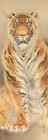 Japanese Painting Hanging Scroll Japan Art Tiger Vintage Old Picture Aged D842