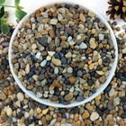 20lbs Natural River Rocks 1 4  Aquarium Gravel For Plants   Decor