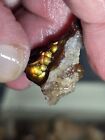 2 Ounce Lots High Grade Fire Agate Small But Powerful Very Colorful Blind Grab