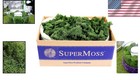 Elegant 3lbs Preserved Reindeer Moss  Soft Forest Green For Floral Arrangements