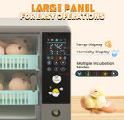 24 Egg Incubator Automatic Turning Temperature Humidity Control For Chicken Duck