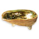 Vintage Abalone Shell Dish Lucite Feet Mid Century Modern Tiki Beach Decor 7 75 