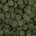 Sera Spirulina Tabs Nature 100ml Veggie Tablets Marine Or Freshwater Fish Food