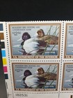 Nystamps Us Duck Block Stamp   Rw56 Mint Og Nh    J23x3758