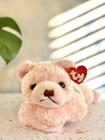      Sugarplum Cuddle Teddy        Ty Classic Plush