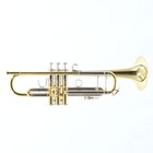 Bach Model 19043 Stradivarius Professional Bb Trumpet Sn 802836 Superb