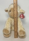 Ty Beanie Buddy Meekins The Lamb Plush 2005 Ivory 10    Sitting