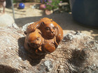 Hand Carved Boxwood Netsuke Of Bat Pair Cuddling Up Collectable Figures