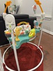 Fisher-price Whimsical Forest Jumperoo Activity Center Jumper W  Music   Lights