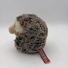 Douglas Spunky Hedgehog 5    Plush Stuffed Animal