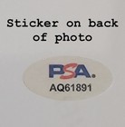 Lou Taylor Pucci Signed 8x10 Photo Autograph Psa Dna Evil Dead Poster