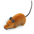 Remote Control Rc Rat Mouse Mice Wireless For Cat Dog Pet Toy Novelty Gift