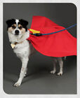 Anime Superman Superdog Krypto Cosplay Cloak Dog Pet Clothing Cape Halloween New