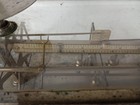 Antique Apothecary Scale Glass Case 1889  working Read  Common Wealth Of Mass
