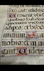 14th Century Medieval Latin Vulgate Bible Leaf Vellum    gothic Manuscript C  1390
