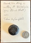 Charred Tree Hiroshima Japan Cemetery Atomic Bomb Blast Photograph   Relic 1951
