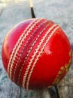 English Willow Cricket Bat Big Edge Free  sticker ball    nature In India  