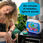 Baby Einstein Sea Dreams Soother Musical Crib Toy And Sound Machine  Newborn And