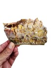 Plume Agate Slab Oregon 80 1 Grams 