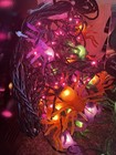 2 Sets Of Halloween Spider String Lights Indoor Outdoor Decor 24 Spiders