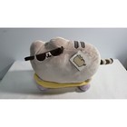 Gund 13 x9pusheen Barnes   Noble Exclusive Skateboard Plush Toy With Sunglasses
