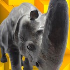 Vintage Large  Leather Rhinoceros Rare Footstool Display Glass Eyes